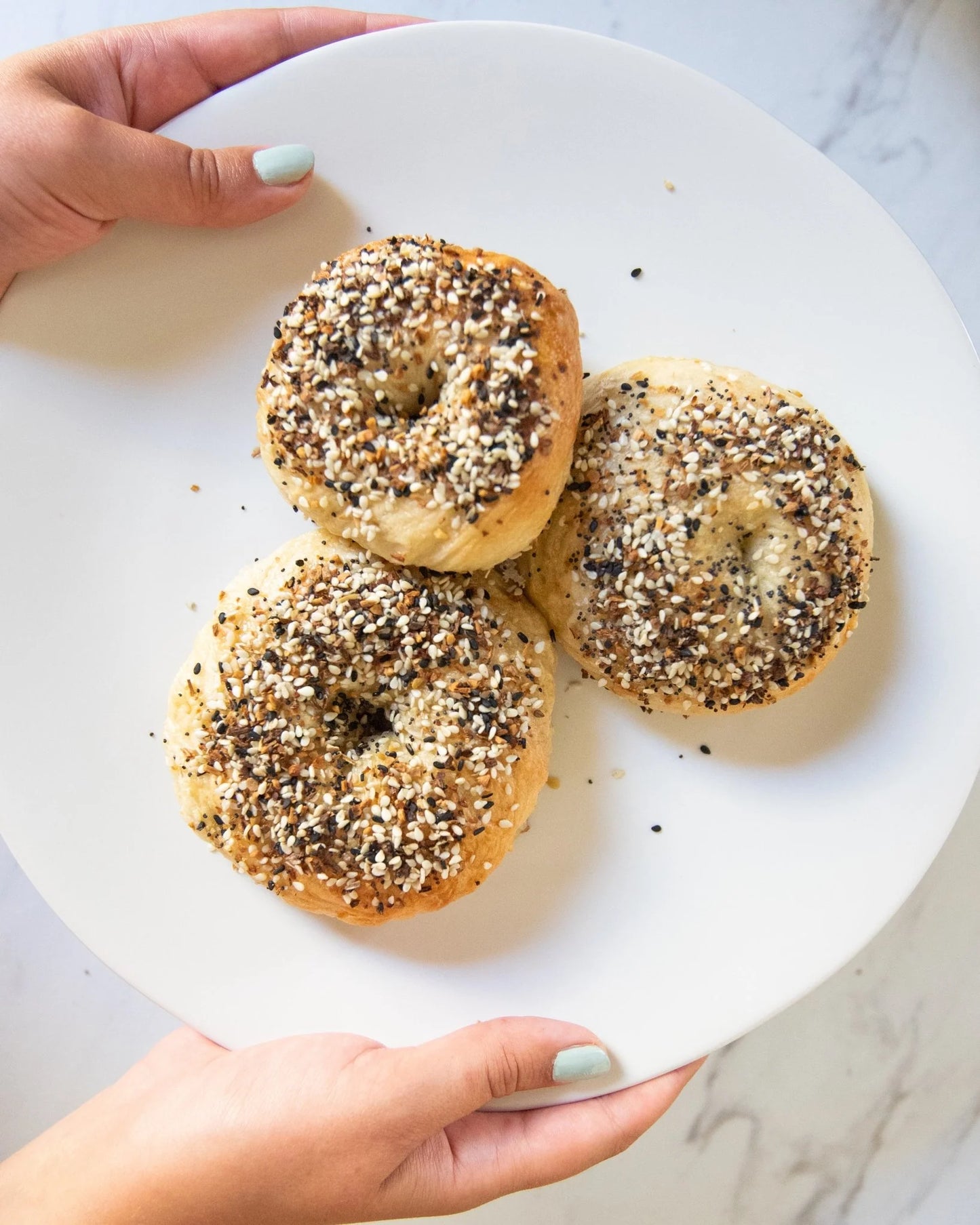 FarmSteady Everything Bagel & Cream Cheese Kit