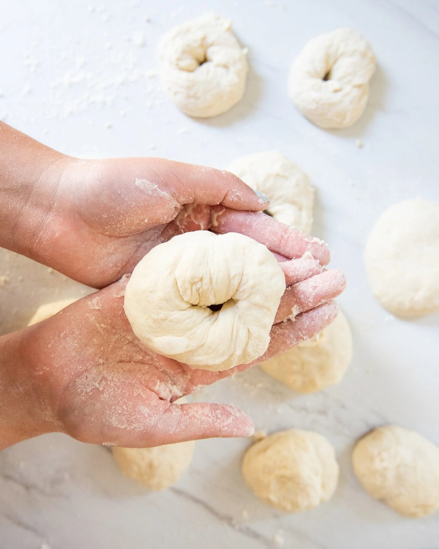 FarmSteady Everything Bagel & Cream Cheese Kit