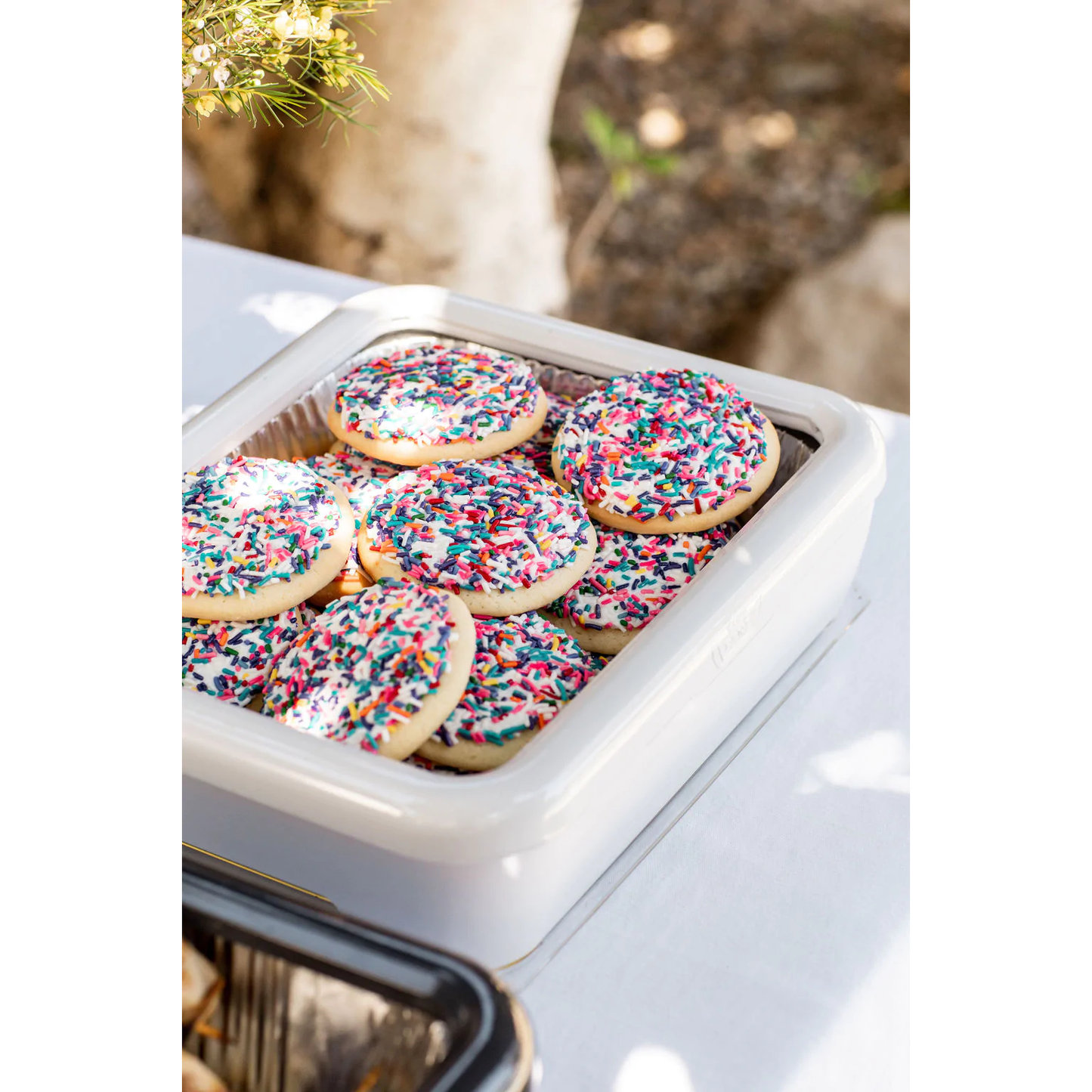 Fancy Panz Classic (7 colors available)