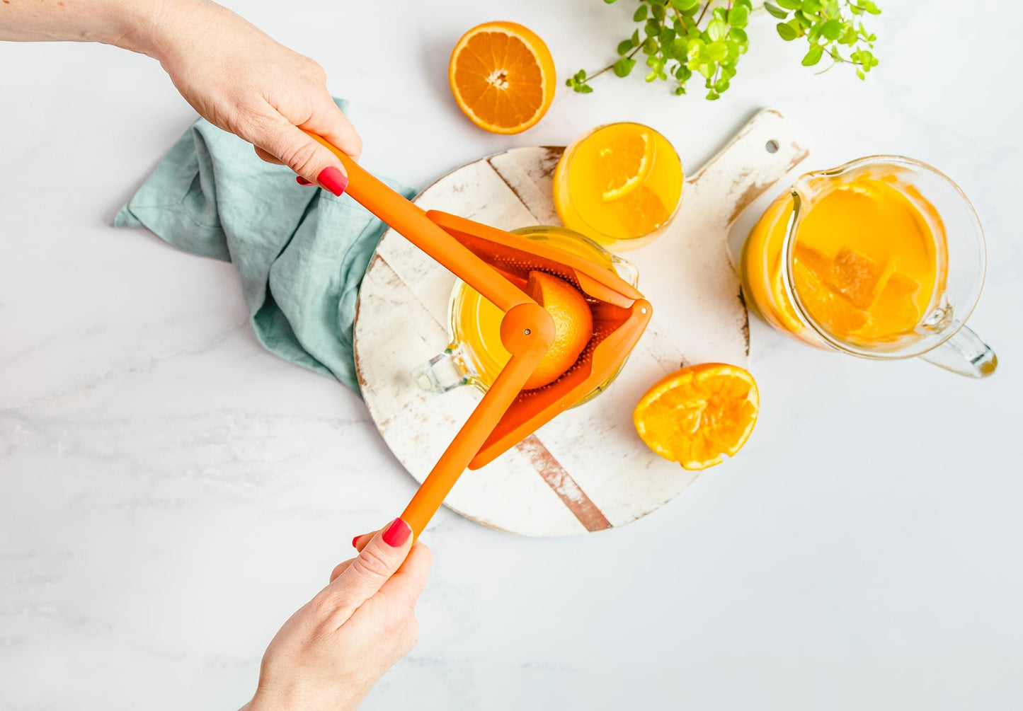 Fluicer: Folding Flat Juicer (3 sizes)