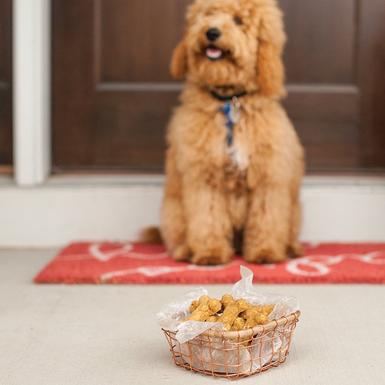 Nordic Ware Homemade Dog Treat Mix