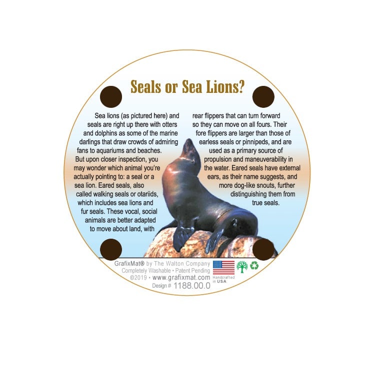 Seal Pair Cork Coaster (Single)