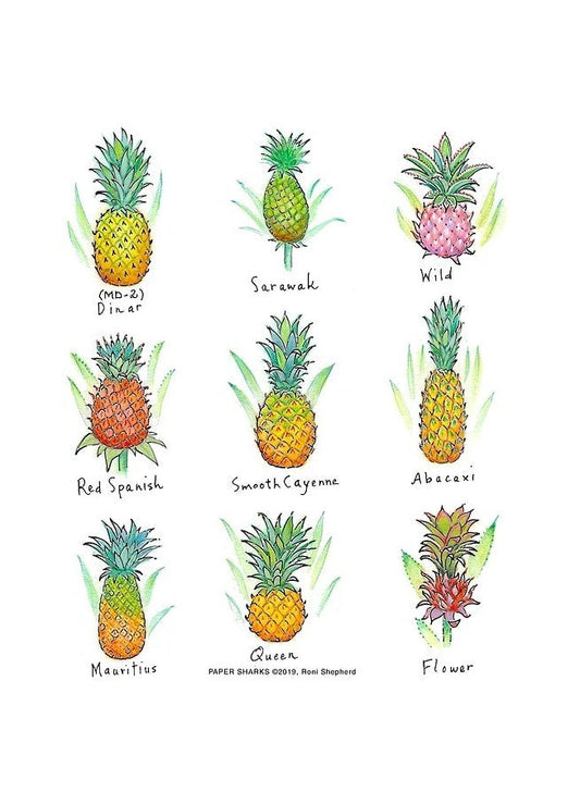 The Compleat Kitchen Original Flour Sack Kitchen Towels - Pineapples