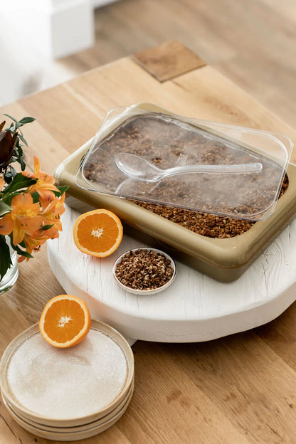 Fancy Panz 13" x 9" x 2" (2 colors available)