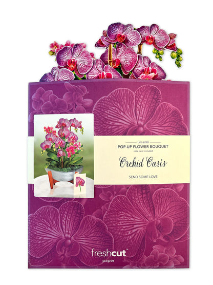 Pop-Up Flower Bouqet & Plants (9 designs)