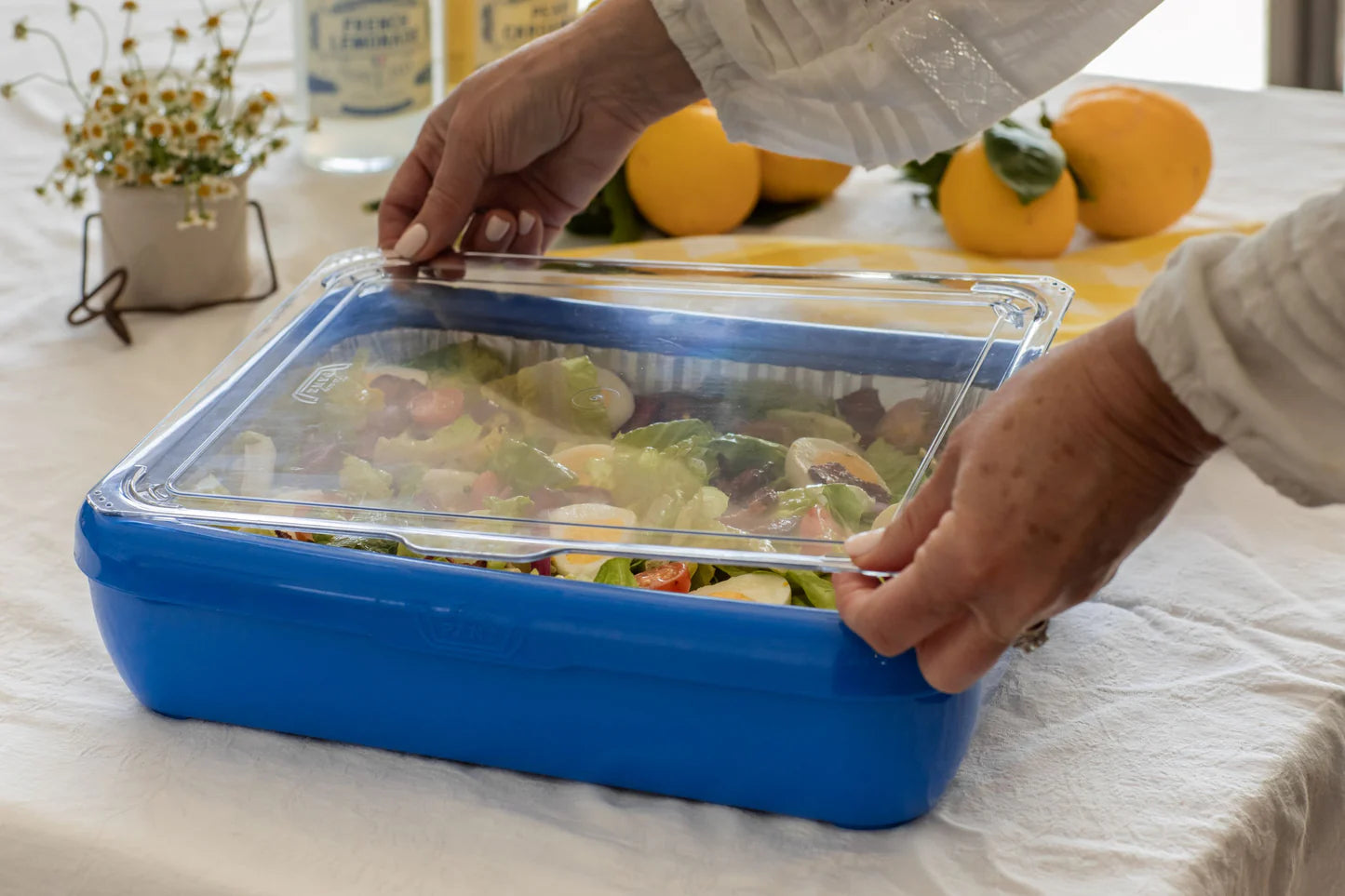 Fancy Panz Classic (8 colors available)