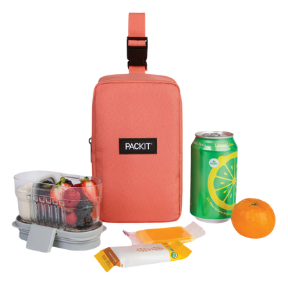 PackIt Freezable Upright Snack Box (3 colors)
