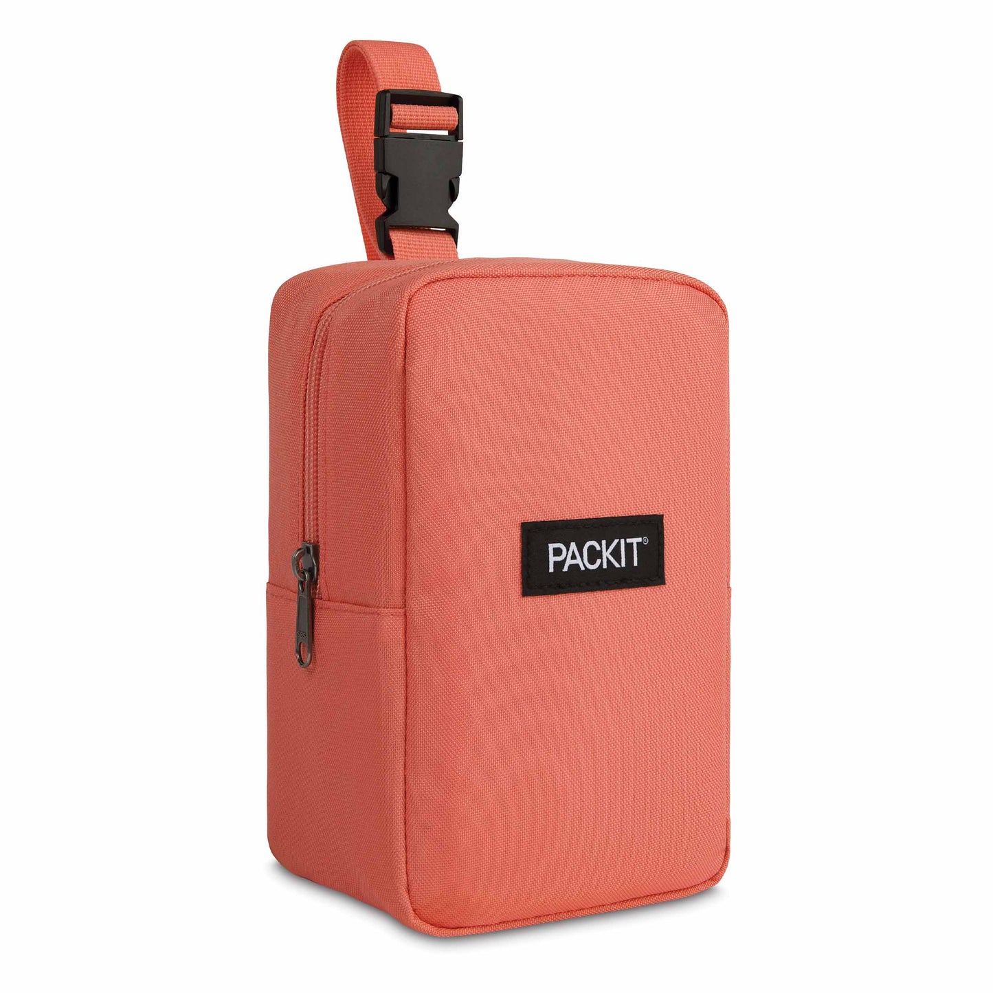 PackIt Freezable Upright Snack Box (3 colors)