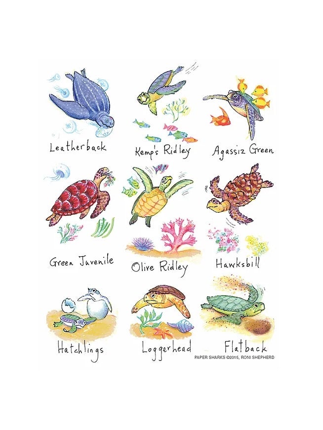 The Compleat Kitchen Original Flour Sack Kitchen Towels - Honu Sea Turtle
